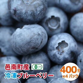 【ふるさと納税】有機 冷凍ブルーベリー1.6kg（400g×4袋)