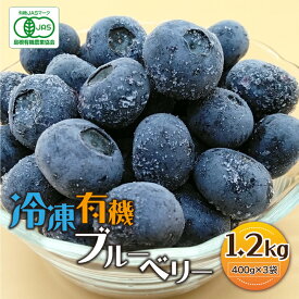 【ふるさと納税】【先行予約】冷凍 有機ブルーベリー 1.2kg（400g×3袋）