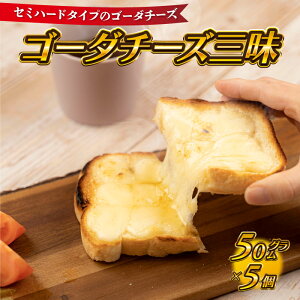 【ふるさと納税】【島根県産】ゴーダチーズ三昧 (50g×5個)
