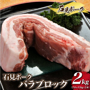 yӂ邳Ɣ[ŁzΌ|[N oubN 2kgiubN1kg×2{j