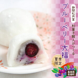 【ふるさと納税】【先行予約】【期間限定】和菓子職人がつくるブルーベリー大福6コ入 2パック