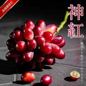 yӂ邳Ɣ[Łzys\zÎԂǂg_g()h x20xȏI1[i450gȏj