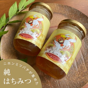 yӂ邳Ɣ[ŁzØa̖؂Ԃ̖W߂VRSԖuR̎v(315g×2r)y1354901z