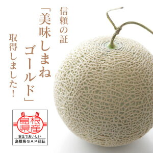 yӂ邳Ɣ[Łzp[Ñy2026N8菇E2LTCY1ʁzy1666374z