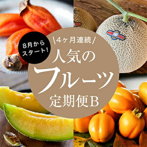 yӂ邳Ɣ[ŁzyŒցzt[cB {̔ʕ𖈌1S4yzsnFzy4014615z