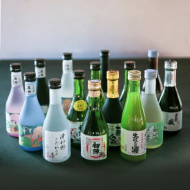 【ふるさと納税】【発送月固定定期便】《地酒飲み比べ》3つの蔵元・ミニボトル3本セット(偶数月発送)全6回【4064203】