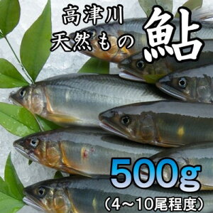 yӂ邳Ɣ[ŁzÐVRⓀ@500g(g꒬)yzsnFzy1259201z