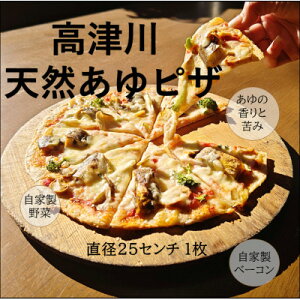 yӂ邳Ɣ[ŁzÐVRsU@1(a25cm)yzsnFzy1259837z