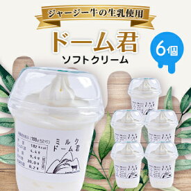 【ふるさと納税】ジャージー牛の生乳を使用したソフトクリーム　ドーム君　6個入り_ ソフトクリーム ジャージー牛 ミルク 濃厚 クリーミー 冷凍スイーツ 冷凍 スイーツ 贈答 ギフト【配送不可地域：離島】【1260021】