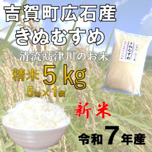 【ふるさと納税】令和7年産 吉賀町広石産きぬむすめ 清流高津川のお米 精米5kg【1679139】