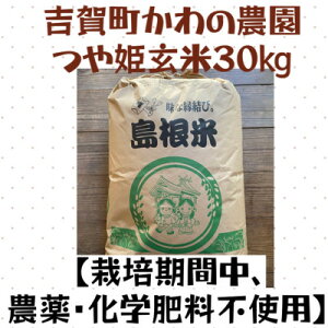 �y�ӂ邳�Ɣ[�Łz�g�꒬����̔_���@��P����30kg�y�͔|���Ԓ��A�_��E���w�엿�s�g�p�z�y1698483�z