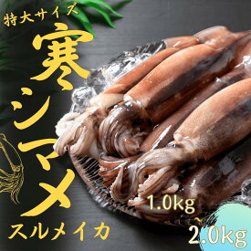 【ふるさと納税】朝どれ寒シマメ　スルメイカ【特大】 1.0kg以上 3～4杯　イカ スルメイカ 朝どれ寒シマメ