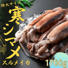 【ふるさと納税】朝どれ寒シマメ　スルメイカ【特大】 1.7kg以上 5～6杯 いか イカ スルメイカ CAS CAS冷凍 年末年始 お正月 お歳暮 御歳暮 ギフト
