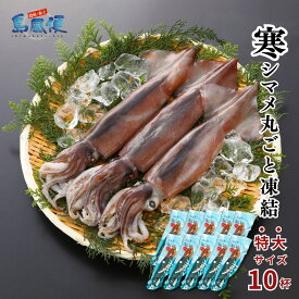 【ふるさと納税】【お徳用】【特大10杯】【胴だけで25cm前後】寒シマメ丸ごと凍結3.0kg【1杯300g】 スルメイカ 烏賊 お刺身 おつまみ いかそうめん 冷凍 国産 肝 うり いかわた 塩辛 島根 隠岐 お歳暮 年末年始 御歳暮 ギフト 12月24日までのご注文で年内発送
