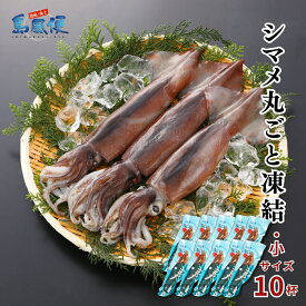 【ふるさと納税】【大容量でお得】【小10杯】【胴だけで18cm前後】シマメ丸ごと凍結1.3kg【1杯130g】 スルメイカ 烏賊 お刺身 おつまみ いかそうめん 冷凍 国産 肝 うり いかわた 塩辛 島根 隠岐 産地直送 ギフト 海士町 CAS