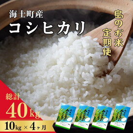 【ふるさと納税】【令和5年度産！定期便4ヵ月】計40kg！コシヒカリ 10kg×4か月定期便 お米 精米 白米 弁当 ごはん ご飯 こしひかり 年末年始 お正月 お歳暮 御歳暮 ギフト 定期便