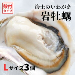 yӂ邳Ɣ[Łzy킪 kt LTCY 3z ≲y H Ⓚ a y  JL ≲y 킪 Ⓚ Ε