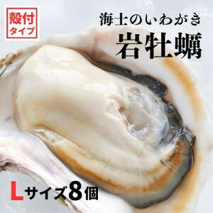 yӂ邳Ɣ[Łzy킪 kt LTCY 8z ≲y H Ⓚ a y  JL ≲y 킪 Ⓚ Ε