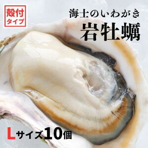 yӂ邳Ɣ[ŁzyCm̂킪 kt LTCY 10z3kg`4kg ≲y 킪 H CmY y Ε