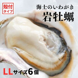 yӂ邳Ɣ[Łzy킪kt LLTCY 6zCm̂킪 ≲y H Ⓚ a y  JL ≲y 킪 Ⓚ Ε