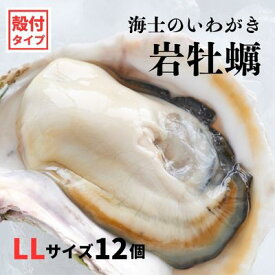 【ふるさと納税】【いわがき 殻付きLLサイズ 12個】海士のいわがき 岩牡蠣 生食可 冷凍 牡蛎 牡蠣 かき カキ 岩牡蠣 いわがき 冷凍 お歳暮