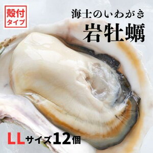 yӂ邳Ɣ[Łzy킪 ktLLTCY 12zCm̂킪 ≲y H Ⓚ a y  JL ≲y 킪 Ⓚ Ε