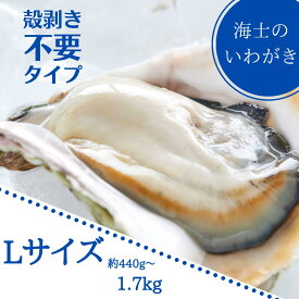 【ふるさと納税】【いわがき 殻なしLサイズ】岩牡蠣 生食可 冷凍 牡蛎 牡蠣 かき カキ 岩牡蠣 いわがき 冷凍 殻なし ハーフシェル 手軽 お歳暮 年末年始 数量限定