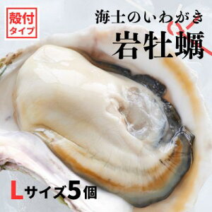 yӂ邳Ɣ[Łzŷt 킪 ktLTCY 5zCm̂킪≲y H Ⓚ a y  JL ≲y 킪 Ⓚ Ε