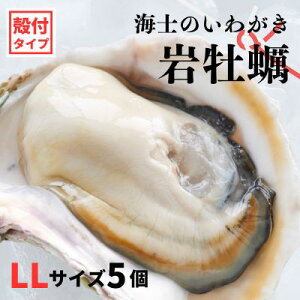 yӂ邳Ɣ[Łzŷt 킪 ktLLTCY 5zCm̂킪 ≲y H Ⓚ a y  JL ≲y 킪 Ⓚ Ε