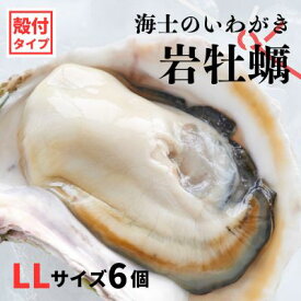 【ふるさと納税】【のし付き いわがき 殻付きLLサイズ 6個】海士のいわがき 岩牡蠣 生食可 冷凍 牡蛎 牡蠣 かき カキ 岩牡蠣 いわがき 冷凍 お歳暮