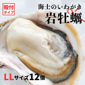 yӂ邳Ɣ[Łzŷt 킪 ktLLTCY 12zCm̂킪 ≲y H Ⓚ a y  JL ≲y 킪 Ⓚ Ε