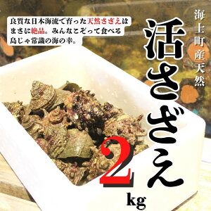 yӂ邳Ɣ[Łzy׎揇zylꊈ2kgZbgz{C̗̐VNȂ20C͂܂! ① TUG  h L CN  Ă hg  BBQ o