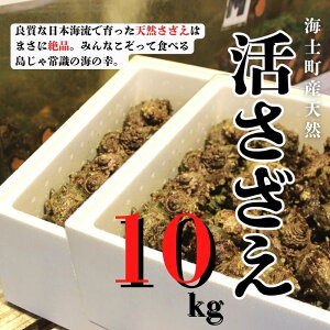 yӂ邳Ɣ[Łzy׎揇zylꊈ10kgZbgz{C̗̐VNȂ͂܂! ① TUG  h L CN  Ă hg  BBQ o[x