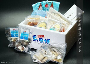 【ふるさと納税】海士の海鮮玉手箱セット 海士町の美味しいもの 詰め合わせ いわがき 岩牡蠣 白いか ケンサキイカ スルメイカ スルメ さざえ 唐揚げ アジフライ