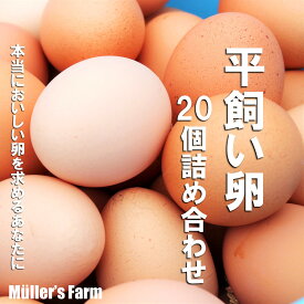 【ふるさと納税】【平飼い卵20個セット】 母の日 父の日 バーベキュー ギフト