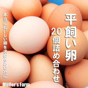 yӂ邳Ɣ[Łzy20ZbgzΕɂI