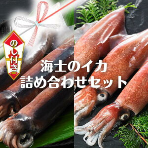 イカ 刺身 冷凍の人気商品 通販 価格比較 価格 Com