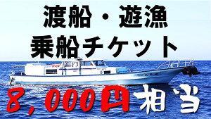 yӂ邳Ɣ[ŁznDEV D`Pbg 8000~
