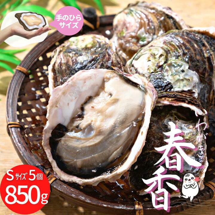 楽天市場】【ふるさと納税】岩牡蠣 いわがき 生食 海士町産 ブランド 春香 殻付き 850g~1.175kg Sサイズ 5個 牡蠣 冷凍 小分け : 島根県海士町 楽天市場】【ふるさと納税】岩牡蠣 いわがき 生食 海士町産 ブランド 春香 殻付き 850g~1.175kg Sサイズ 5個 牡蠣 冷凍 小分け : 島根県海士町