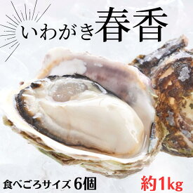 【ふるさと納税】【ブランドいわがき春香 殻付き 食べごろサイズ 6個】 岩牡蠣 生食可 冷凍 牡蛎 牡蠣 かき カキ 岩牡蠣 いわがき 冷凍 父の日 母の日 バーベキュー ギフト