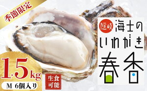 ��s�\���t�F�y2026�N 3���ȍ~�������͂��z�y���̂��킪���t�� M�T�C�Y6�z �≲�y �����y ���y ���킪���t�� ���H�� �{�̎�������