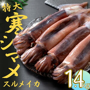 yӂ邳Ɣ[ŁzyV} TCY ܂邲4tZbgz 1.4kg`1.6kg  CJ XCJ ǂꊦV} Ε