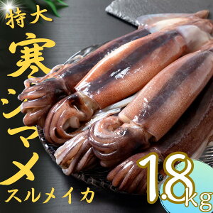 yӂ邳Ɣ[ŁzyǂXCJۂƁzǂꊦV}TCY ۂ5tZbg 1.7kg`2kg  CJ XCJ CAS CASⓀ NNn  Ε Ε Mtg