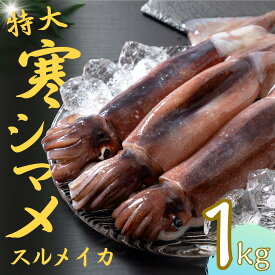 【ふるさと納税】スルメイカ 特大サイズ 350g-400g 3杯 1kg以上 イカ 刺身 新鮮 冷凍 小分け 海士町産 寒シマメ いか イカ スルメイカ CAS CAS冷凍 年末年始 お正月 お歳暮 御歳暮 ギフト