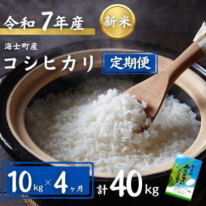 yӂ邳Ɣ[Łzy4zv40kgIRVqJ 10kg×4 | 7NY V    ٓ ͂  Ђ RVqJ ߘa Mtg 10kg 40kg |