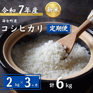 yӂ邳Ɣ[Łzy3zv6kgIRVqJ 2kg×3  V   ٓ ͂  Ђ Mtg 