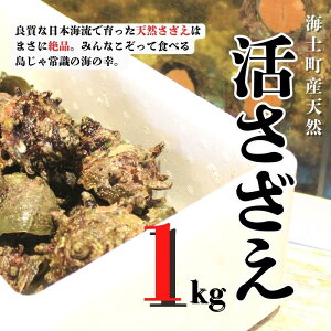 yӂ邳Ɣ[Łzy׎揇zylꊈ1kgZbgz{C̗̐VNȂ͂܂! ① TUG  h L CN  Ă hg  BBQ o[xL