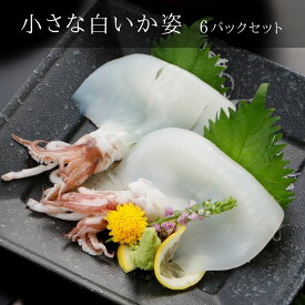 【ふるさと納税】小さな白いか姿 6パックセット 個包装 小分け 冷凍 イカ CAS CAS冷凍 御中元 お中元 残暑見舞い