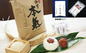 ふるさと納税 米 10kgの人気商品 通販 価格比較 価格 Com ふるさと納税 米 10kgの人気商品 通販 価格比較 価格 Com