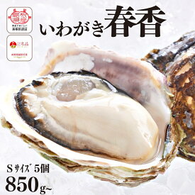 【ふるさと納税】【いわがき殻付き Sサイズ 5個】ブランドいわがき春香 岩牡蠣 生食可 冷凍 牡蛎 牡蠣 かき カキ 岩牡蠣 いわがき 冷凍 父の日 母の日 バーベキュー ギフト